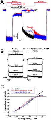 The diversity of AMPA receptor inhibition mechanisms among amidine-containing compounds